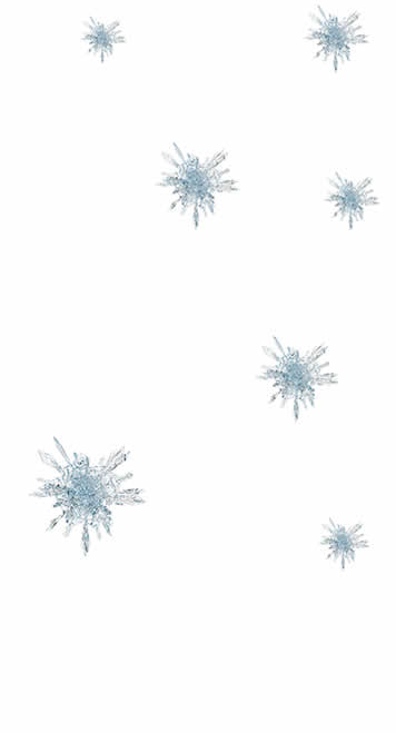 saisonale Angebote - Winterdienst